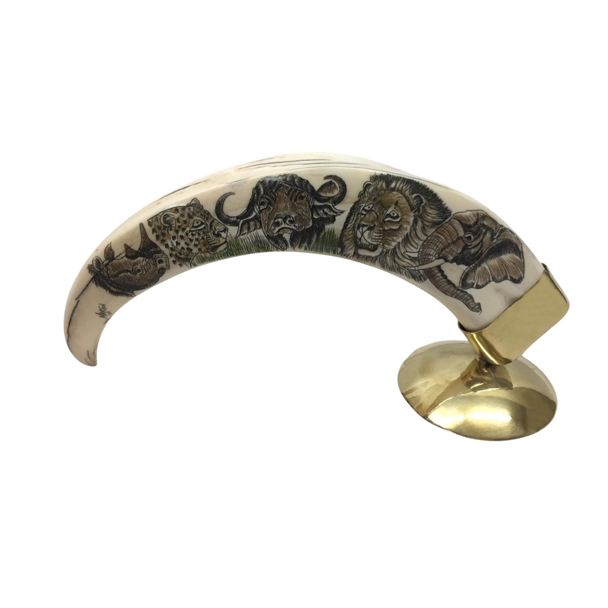 Genuine Warthog Tusk on Wood Stand w/Personalized Plaque